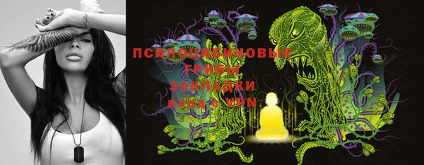 экстази Богданович